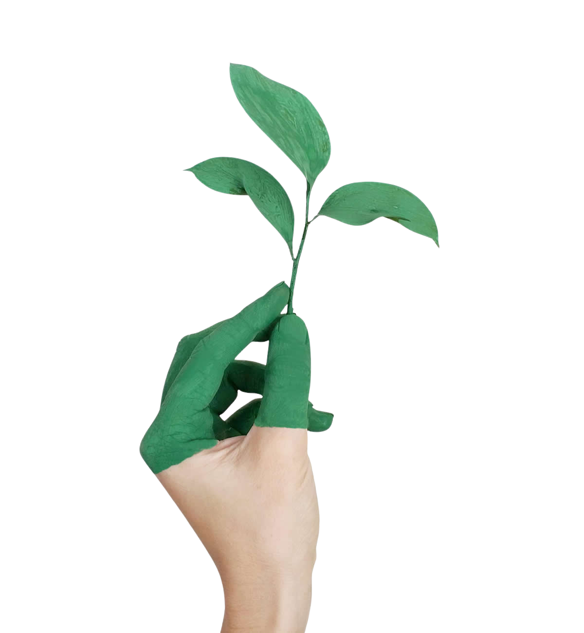 Sustainability assessment interface preview